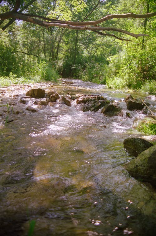 Бесплатное стоковое фото с вертикальный выстрел, поток, река