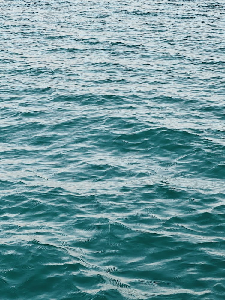 View Of A Sea Surface