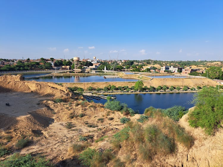 Ponds In A Town