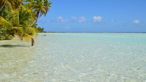 Free A serene tropical beach with crystal clear waters and lush palm trees under a bright blue sky. Stock Photo