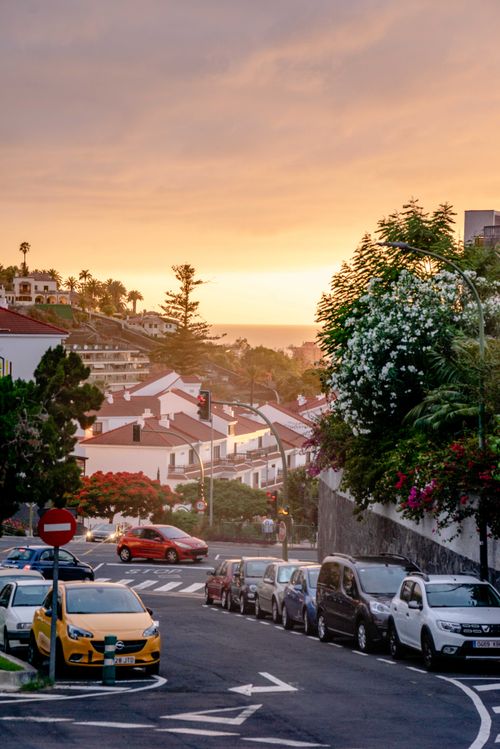 Free A picturesque street in Puerto de la Cruz, Spain, glowing with sunset hues and lined with cars and tropical trees. Stock Photo