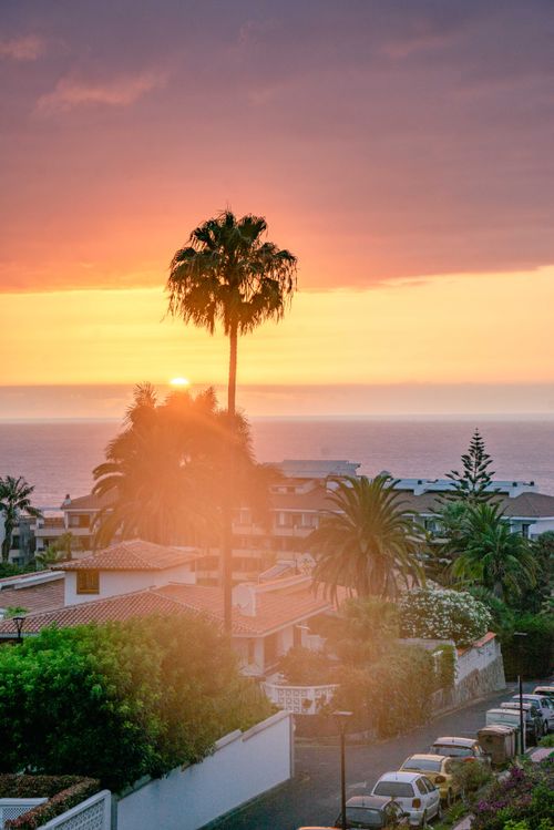 Free Beautiful sunset view over Puerto de la Cruz in Tenerife with palm trees and ocean in the background. Stock Photo