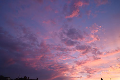 Základová fotografie zdarma na téma mraky, purpurové nebe, soumrak