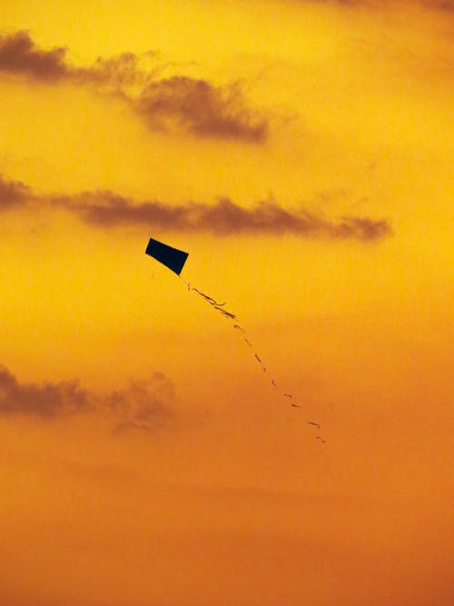 Foto profissional grátis de céu amarelo, Hora dourada, pipa