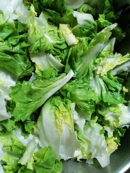 Close-up shot of fresh, vibrant green lettuce leaves perfect for salads.