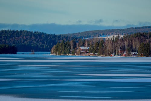 Základová fotografie zdarma na téma jezero, les, rýma