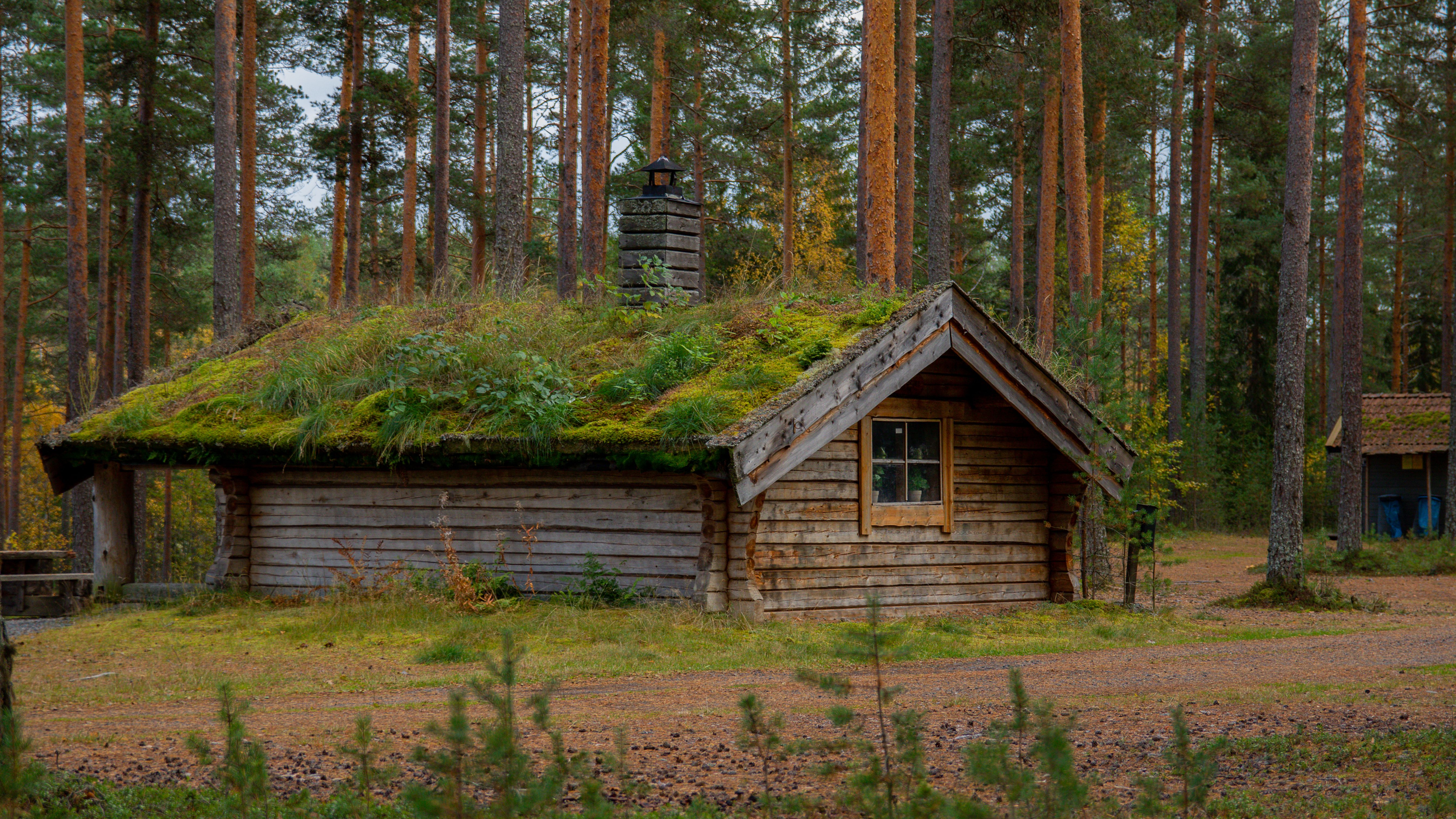 Abandoned Wooden House in the Woods · Free Stock Photo
