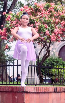 A young girl dances gracefully in a lavender tutu, showcasing ballet moves in a vibrant spring garden.