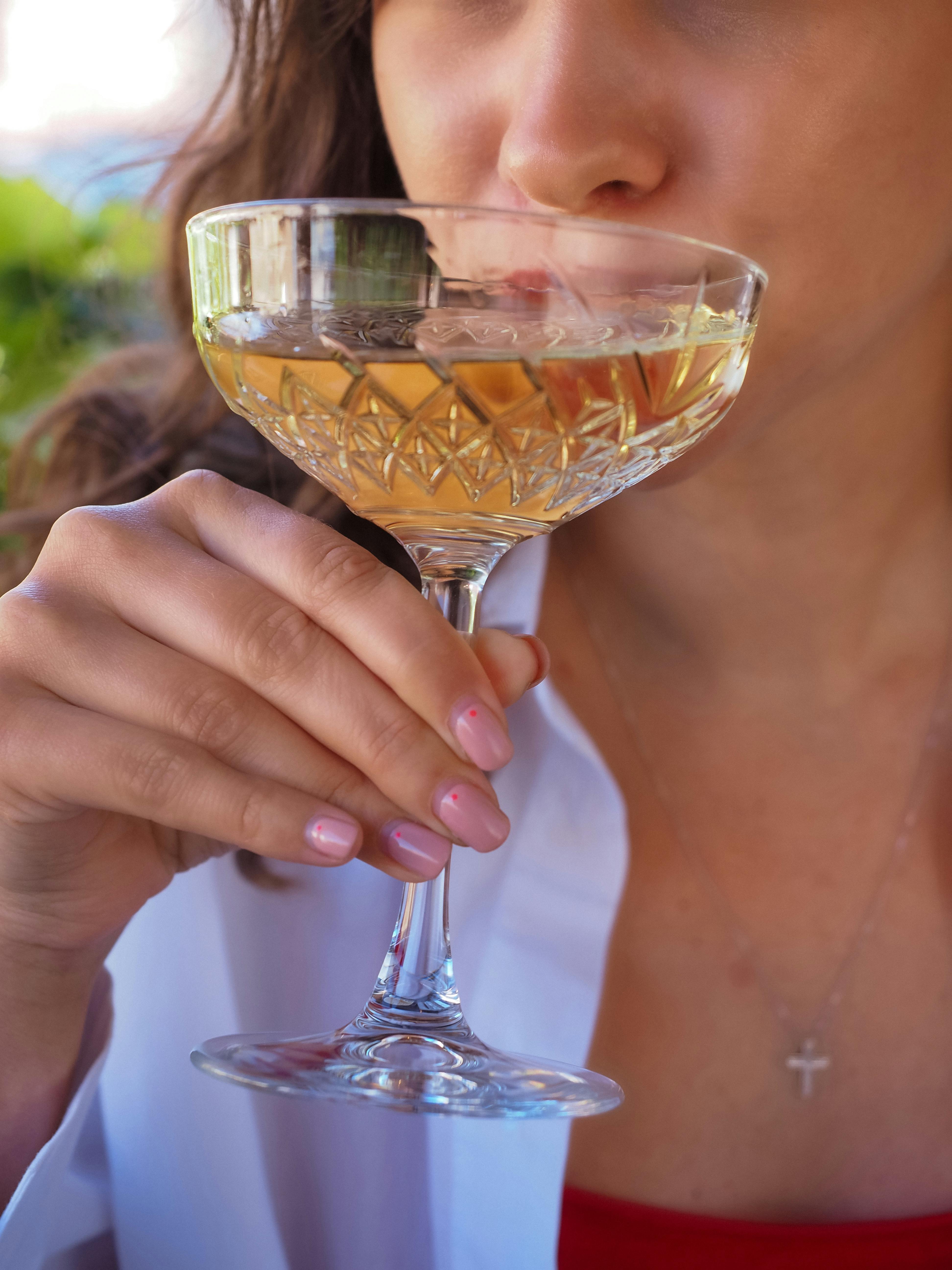 The Connection Between a Wet Nose and Your Dog's Senses: Enhancing Smell and Taste