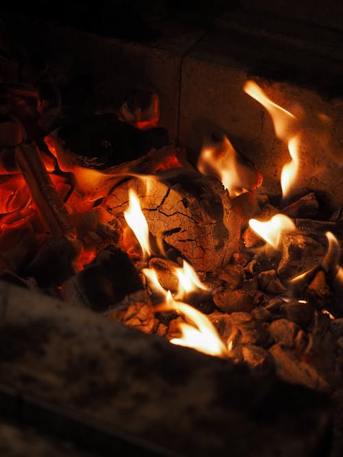 무료 뜨거운, 불, 불타는 나무의 무료 스톡 사진