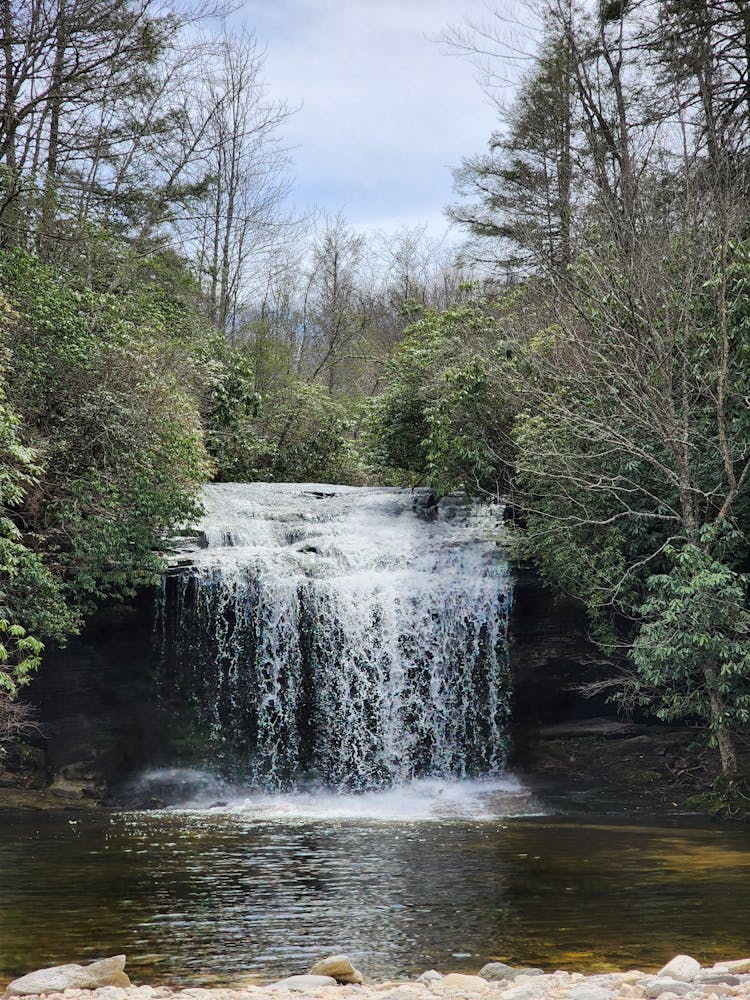 Photo Of A Waterfall, A Backwater And The Forest