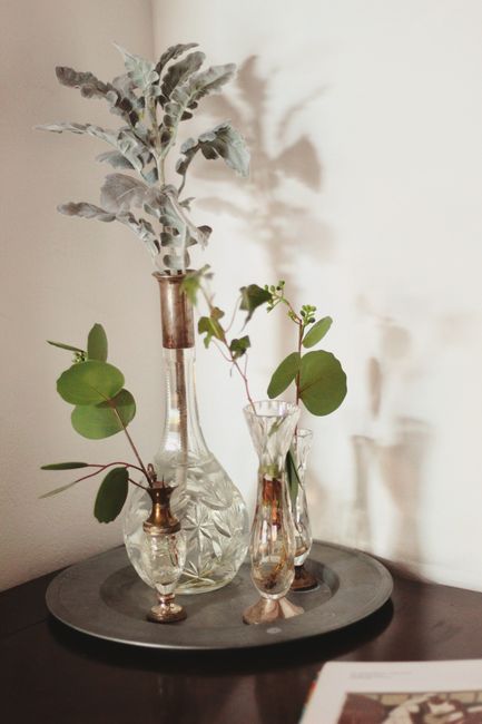 Stylish arrangement of glass vases with greenery on an elegant tray.