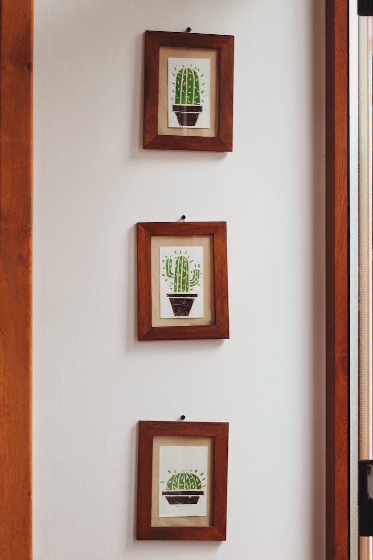 Framed Paintings Of Cacti