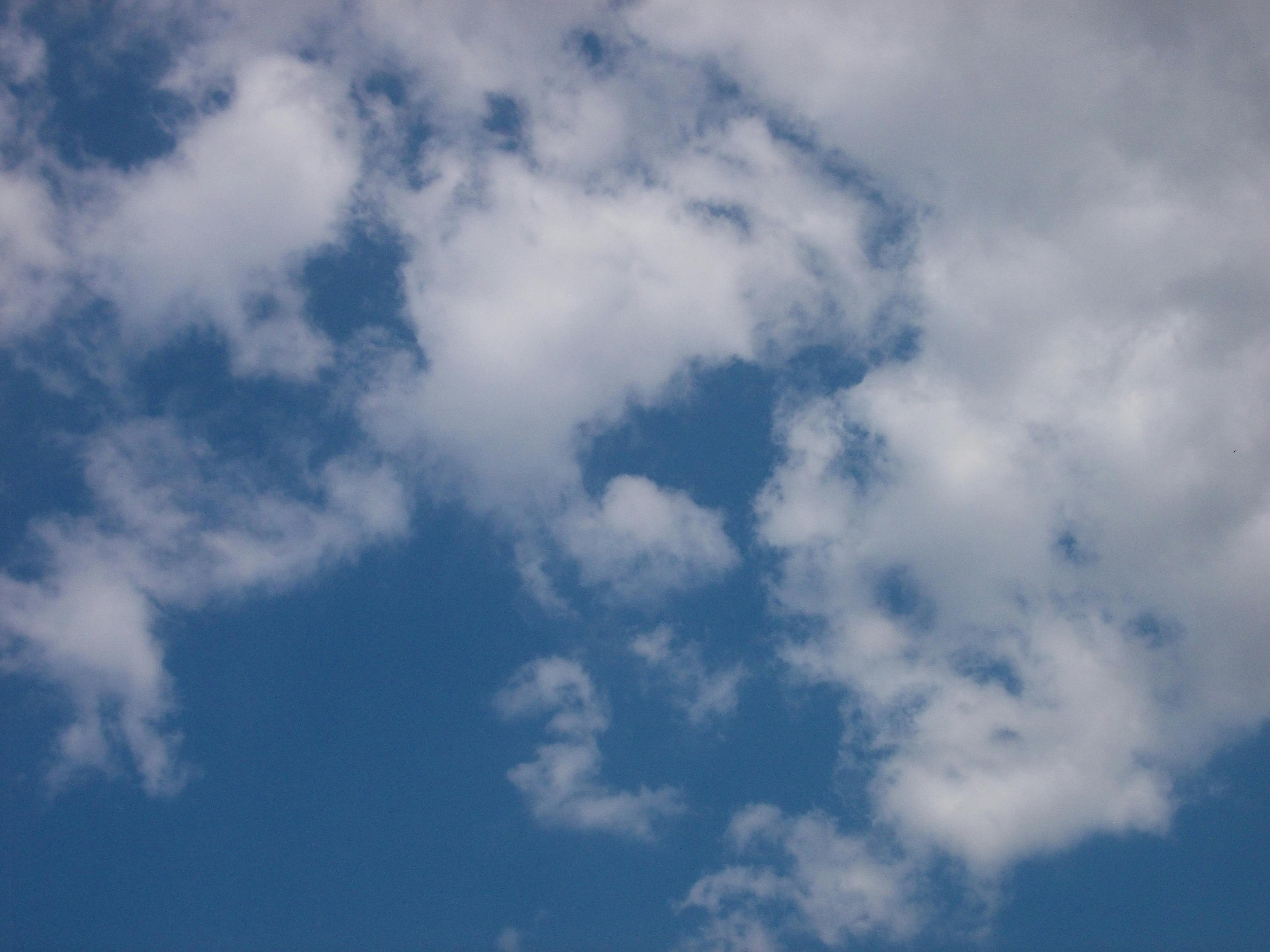 Free stock photo of a cloudspotter\'s guide, clouds