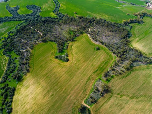 Ingyenes stockfotó drónfelvétel, fák, farm témában