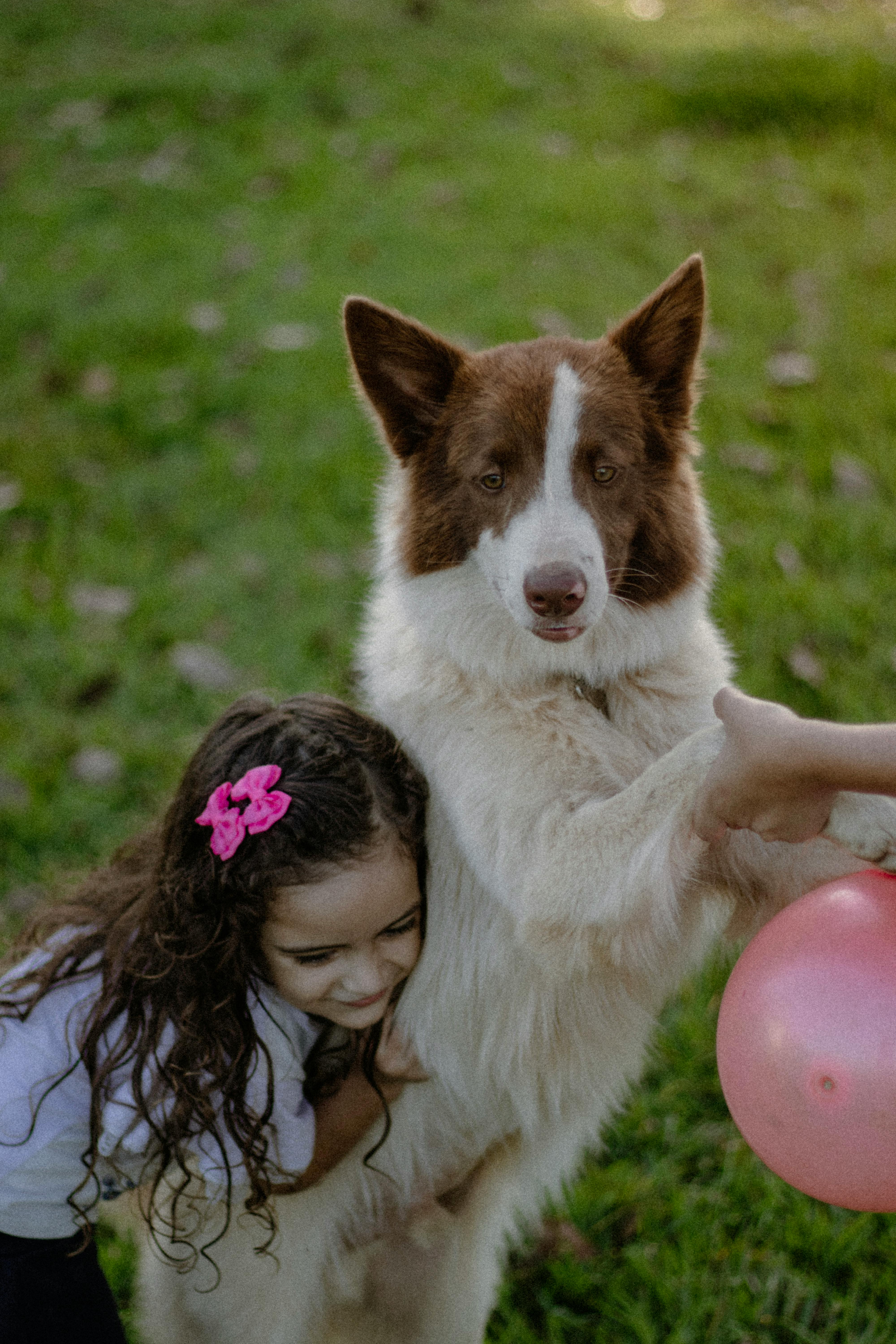 a young girl hugging a dog