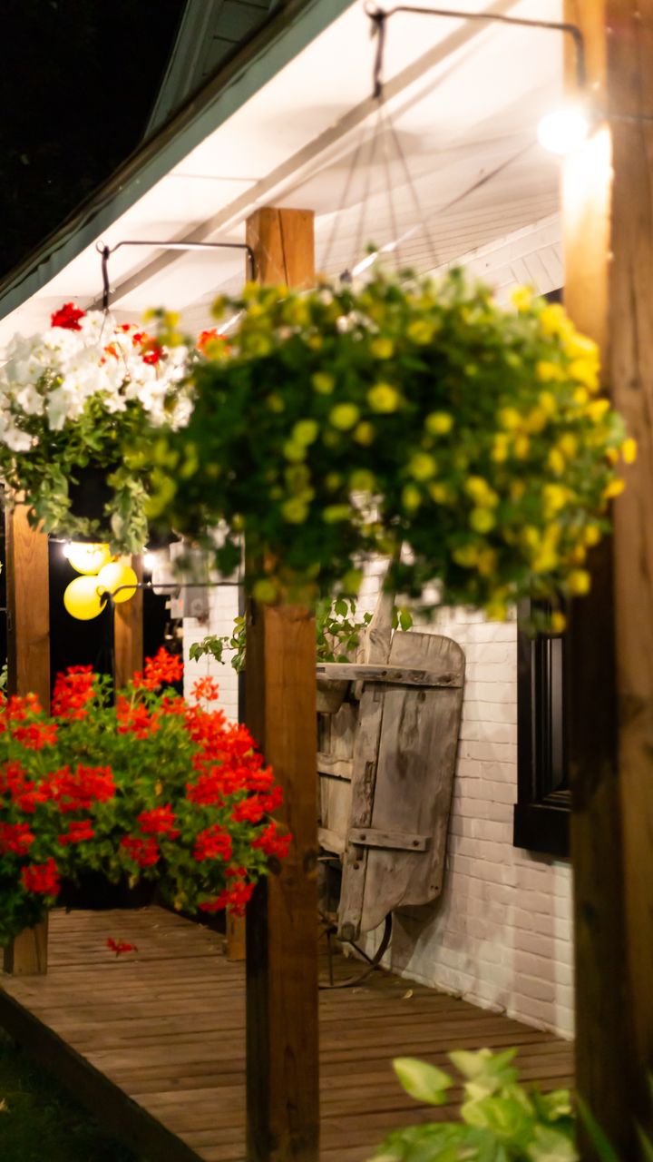Plant Night-Blooming Flowers