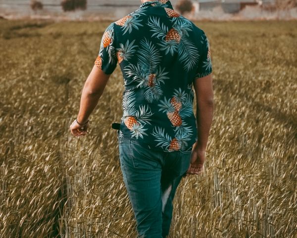 Hawaiian aloha shirt