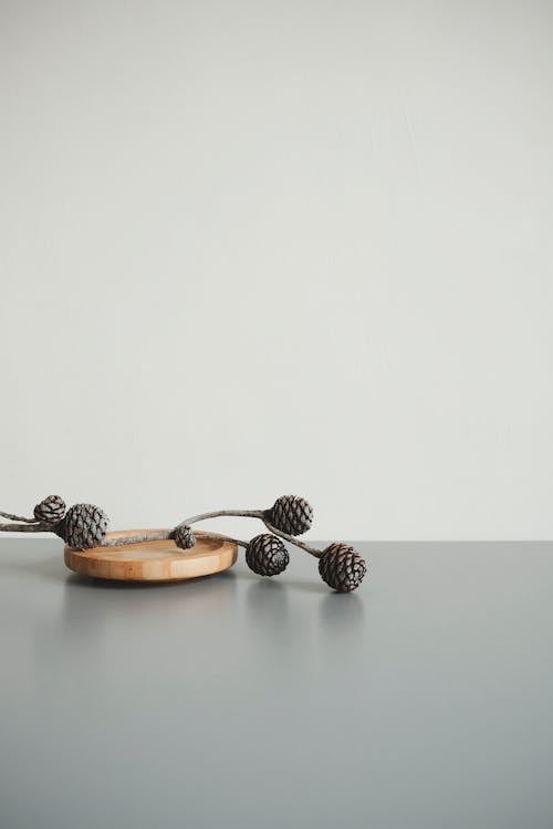 Free Brown Pine Cone on Gray Surface Stock Photo