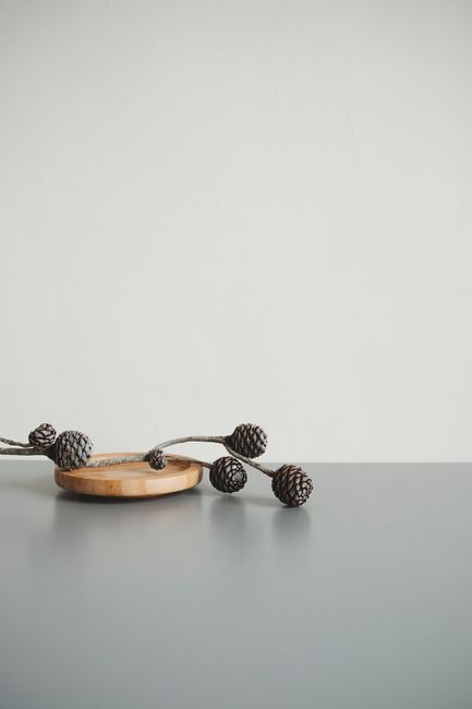 A minimalist display of pine cones on a grey surface with ample space for text.