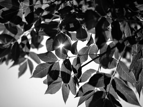 Free Mother Nature is a beauty Stock Photo