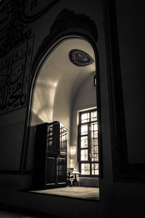 Free stock photo of black-and-white, ulucami