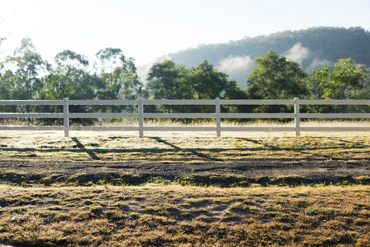 Wooden Fence In Green Field Photo