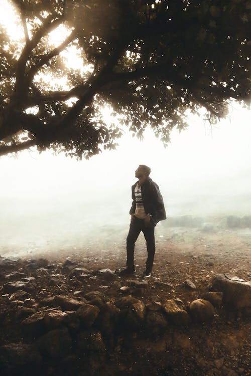 Free Person Standing Under The Tree Stock Photo