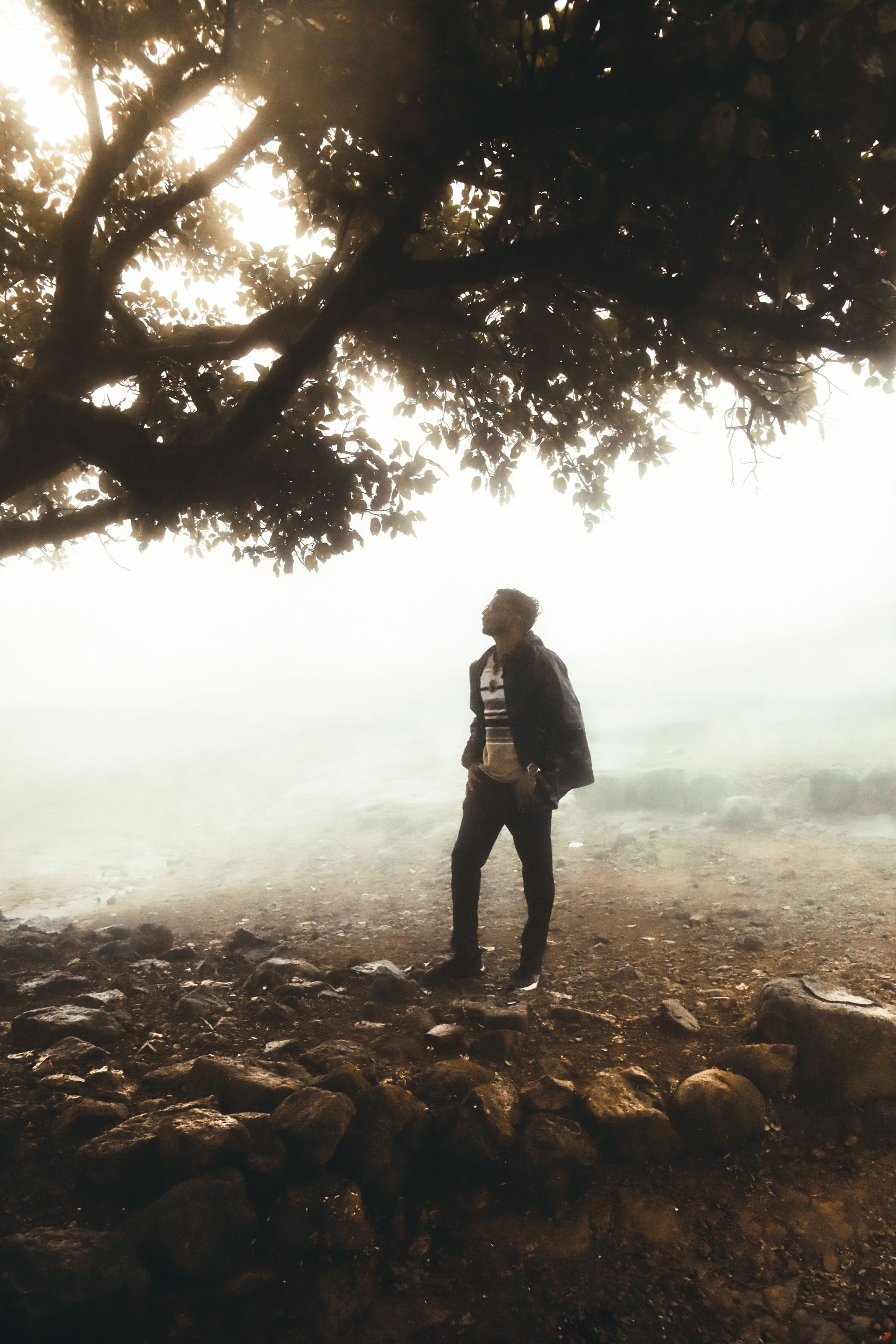 A man stands under a tree in a foggy landscape at Lonavala, Maharashtra, India.