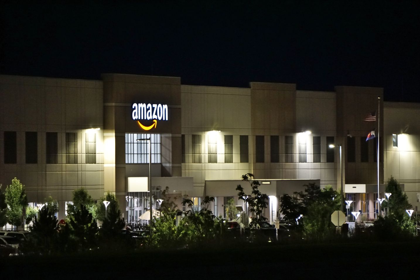 Amazon (company) Overview, History, and Growth Explained