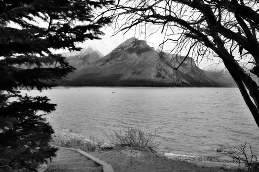 Scenic view of a lake surrounded by mountains and trees in Banff National Park, Alberta, Canada.