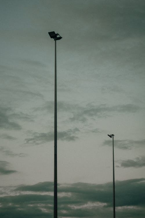 Gratis lagerfoto af gadebelysning, grå himmel, gråtoneskala