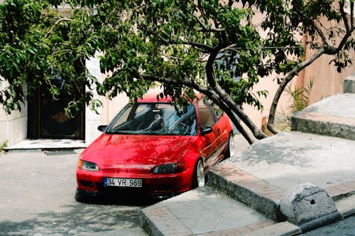 A Red Honda Civic Hatchback Parked Under the Tree