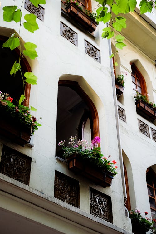 Photos gratuites de balcons, conteneurs de fleurs, contre-plongée