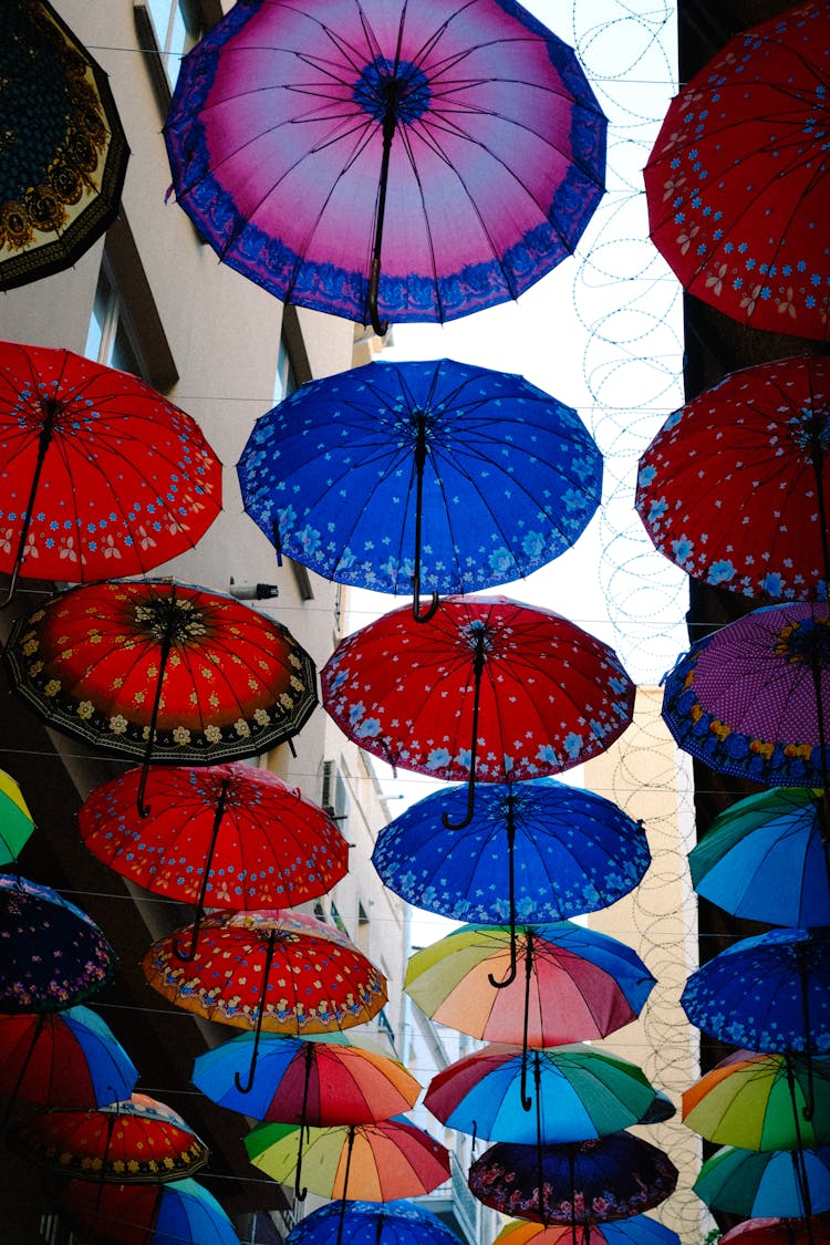 Colorful Umbrellas Above Street