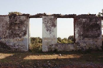 Foliage Seen through Ruins of House