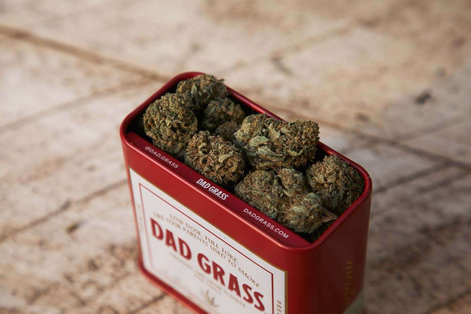 Dad Grassブランドの赤い缶に詰められたカンナビスのつぼみのクローズアップ画像。