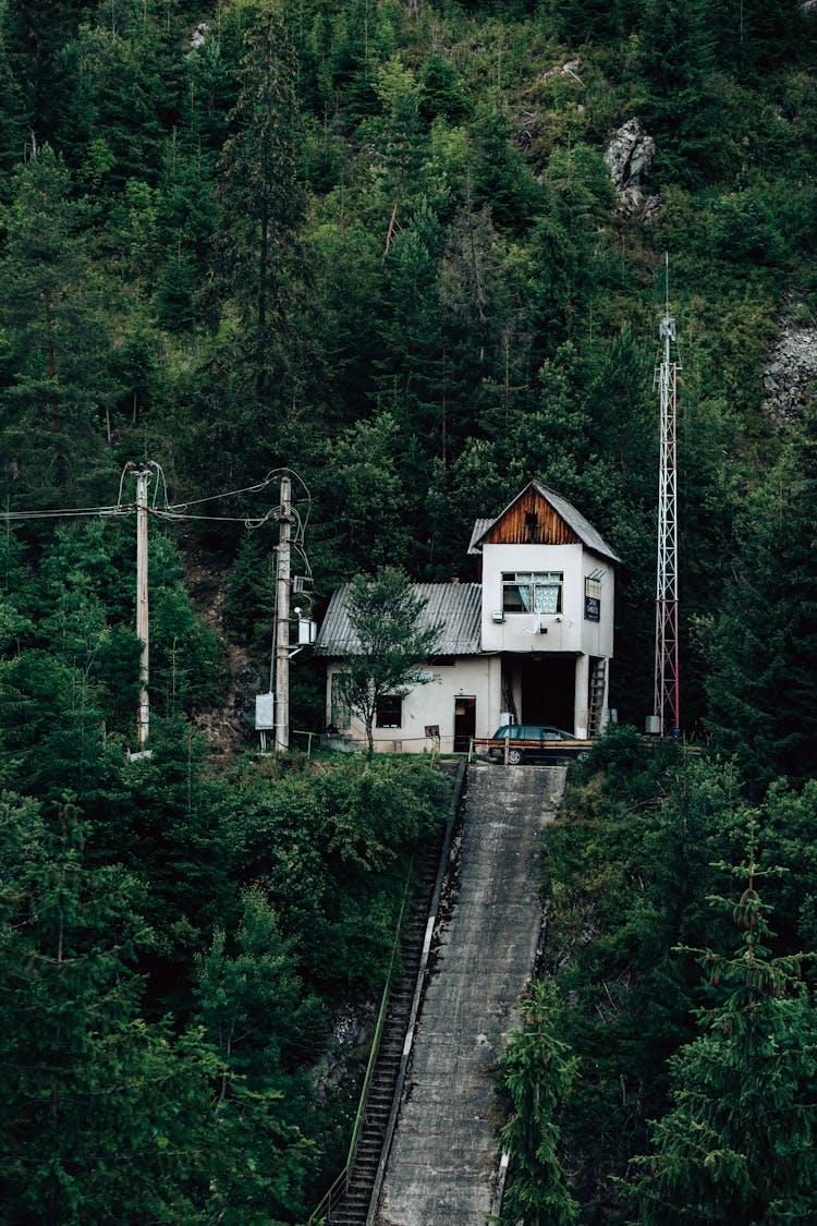 A House In A Forest