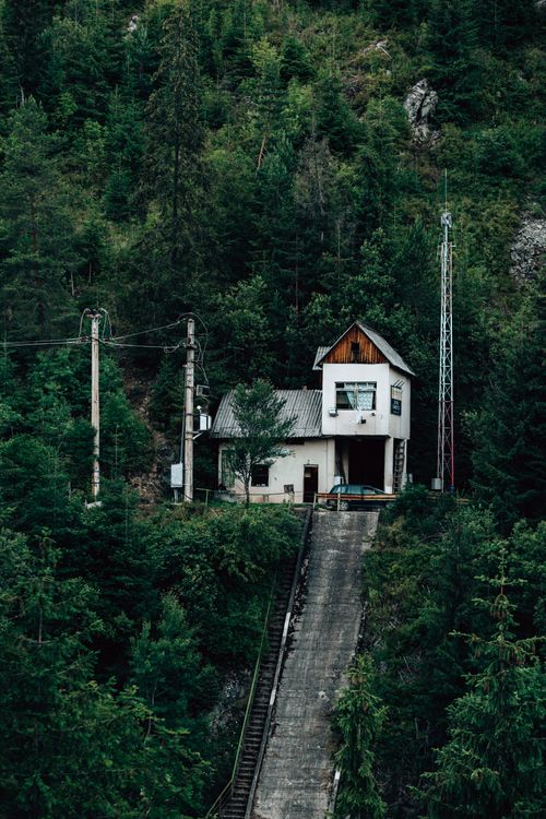 Free Charming house surrounded by dense forest, accessible by steep pathway. Stock Photo