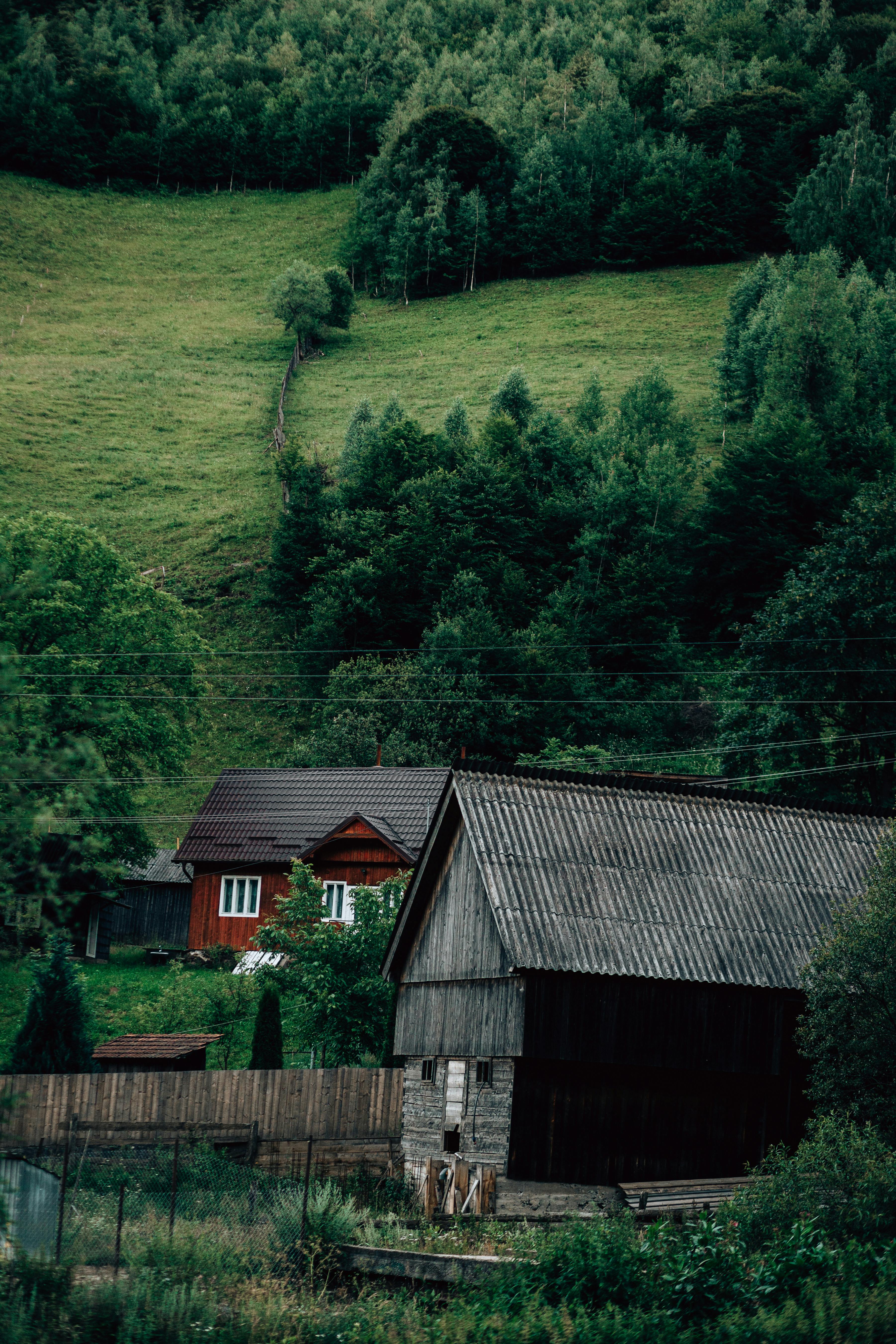 Charming rural scene showcasing wooden houses amidst lush green hills and dense forest.
