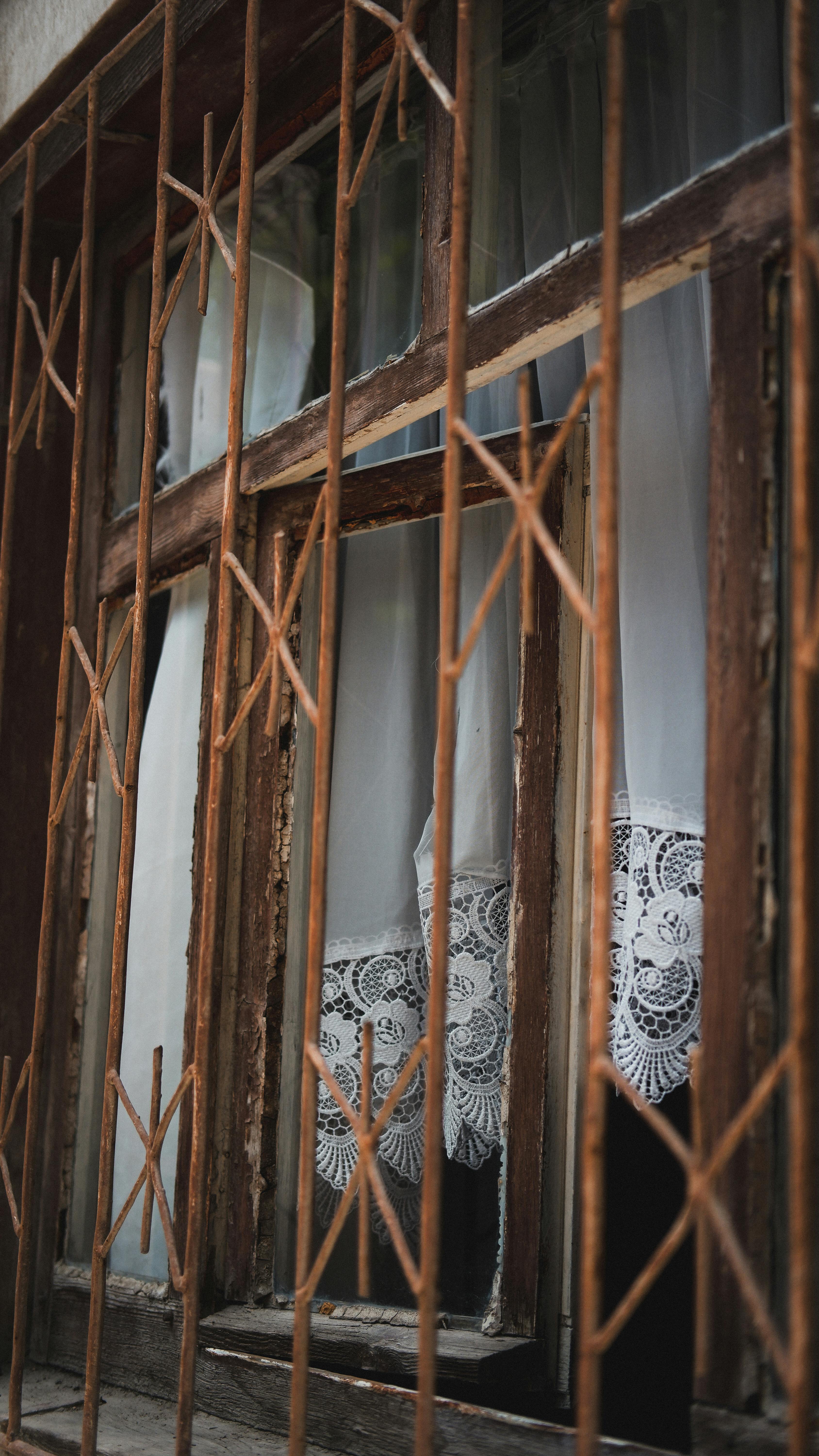 Photo by Özge  Taşkıran