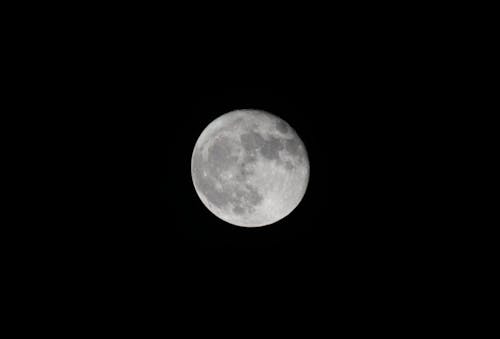 Immagine gratuita di cielo notturno, fotografia lunare, luna piena