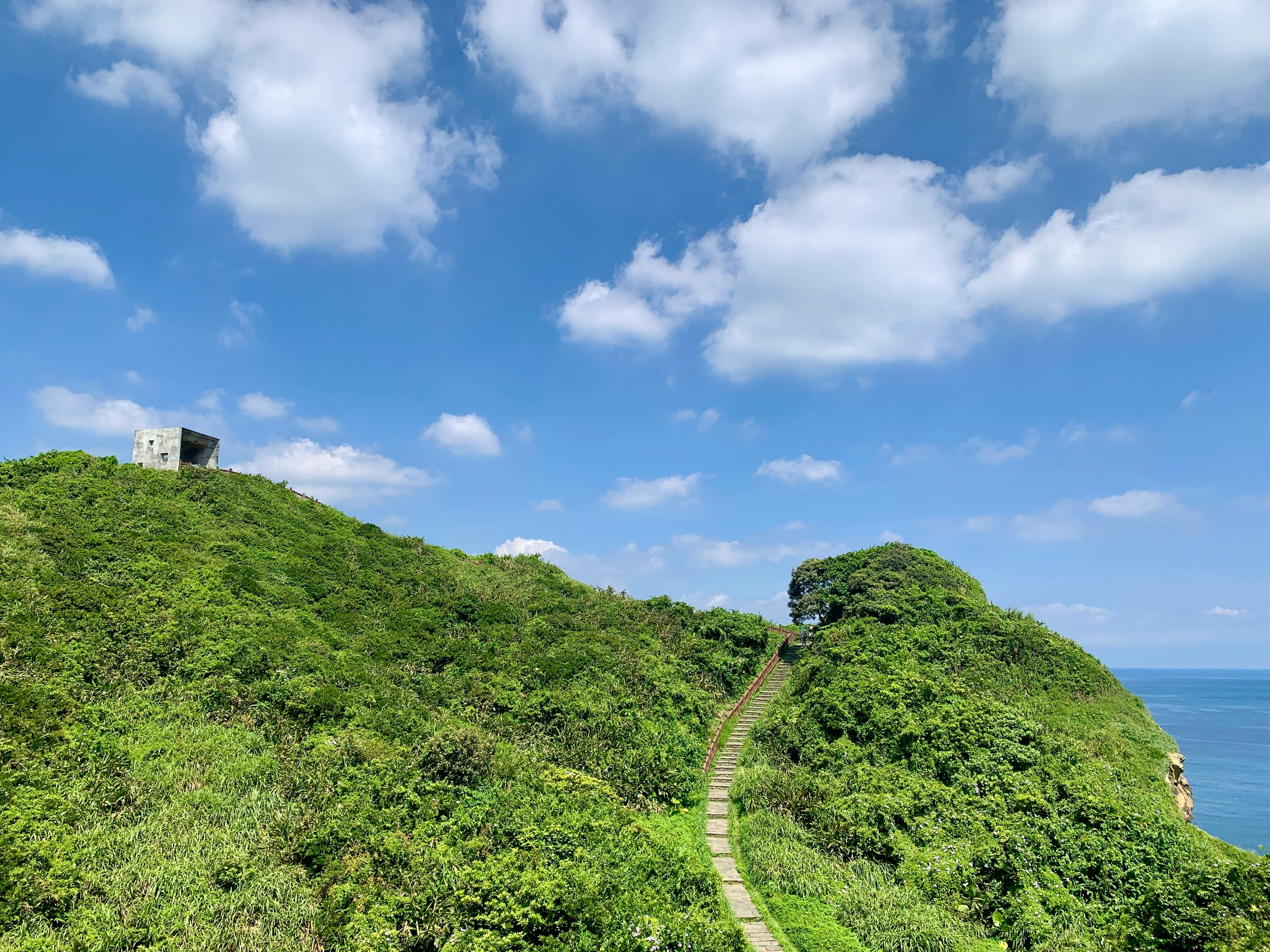 Lush green hill with a path leading to the sea under a vibrant blue sky.