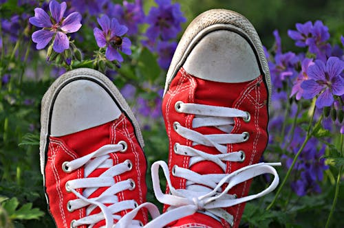 бесплатная пара красных кроссовок Converse All Star High Top с селективной фокусировкой Стоковое фото