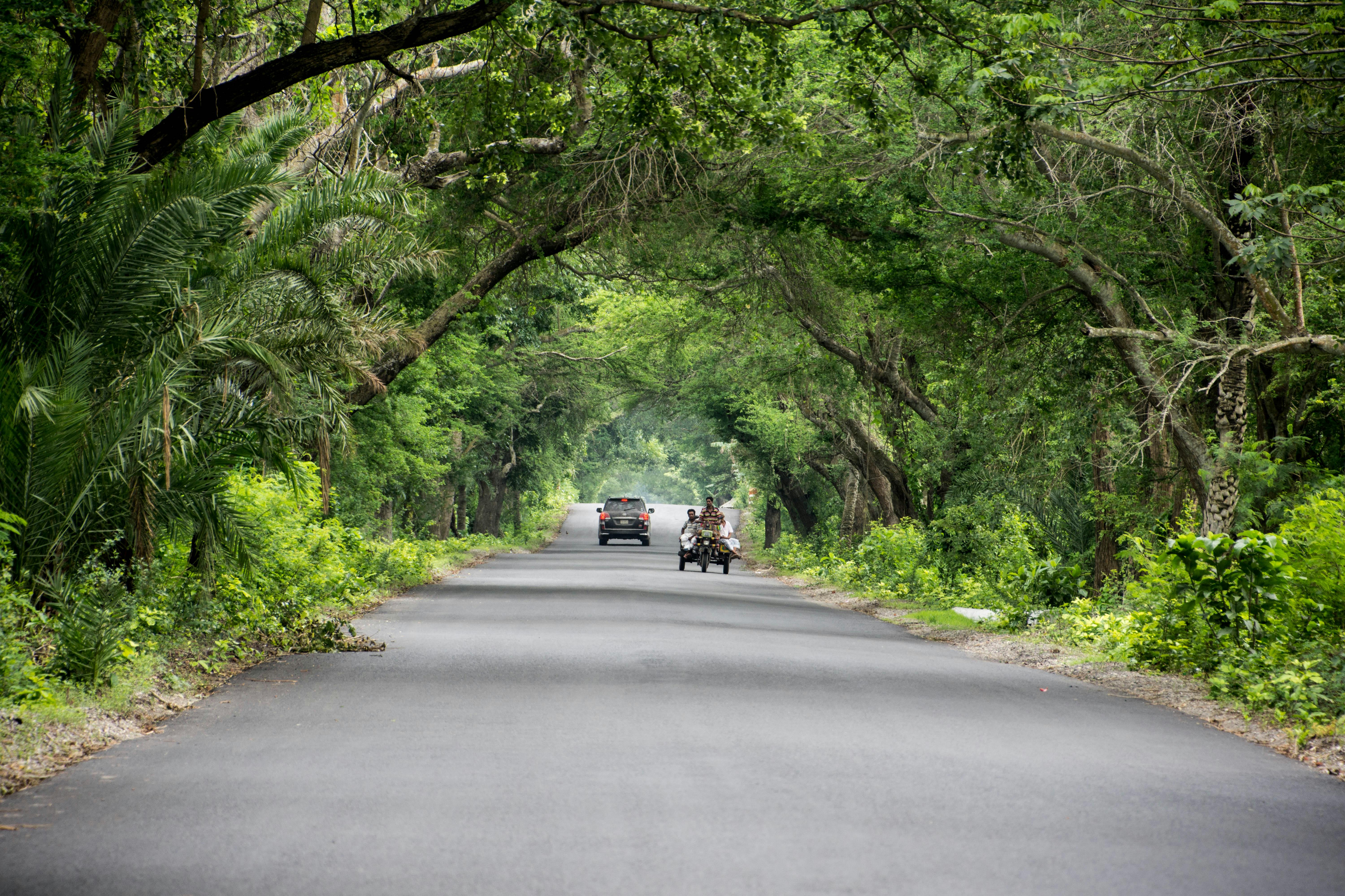 Gray Car in the Middle of Highway Near Green Trees · Free Stock Photo