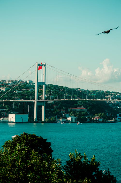 Suspension Bridge Under Blue Sky