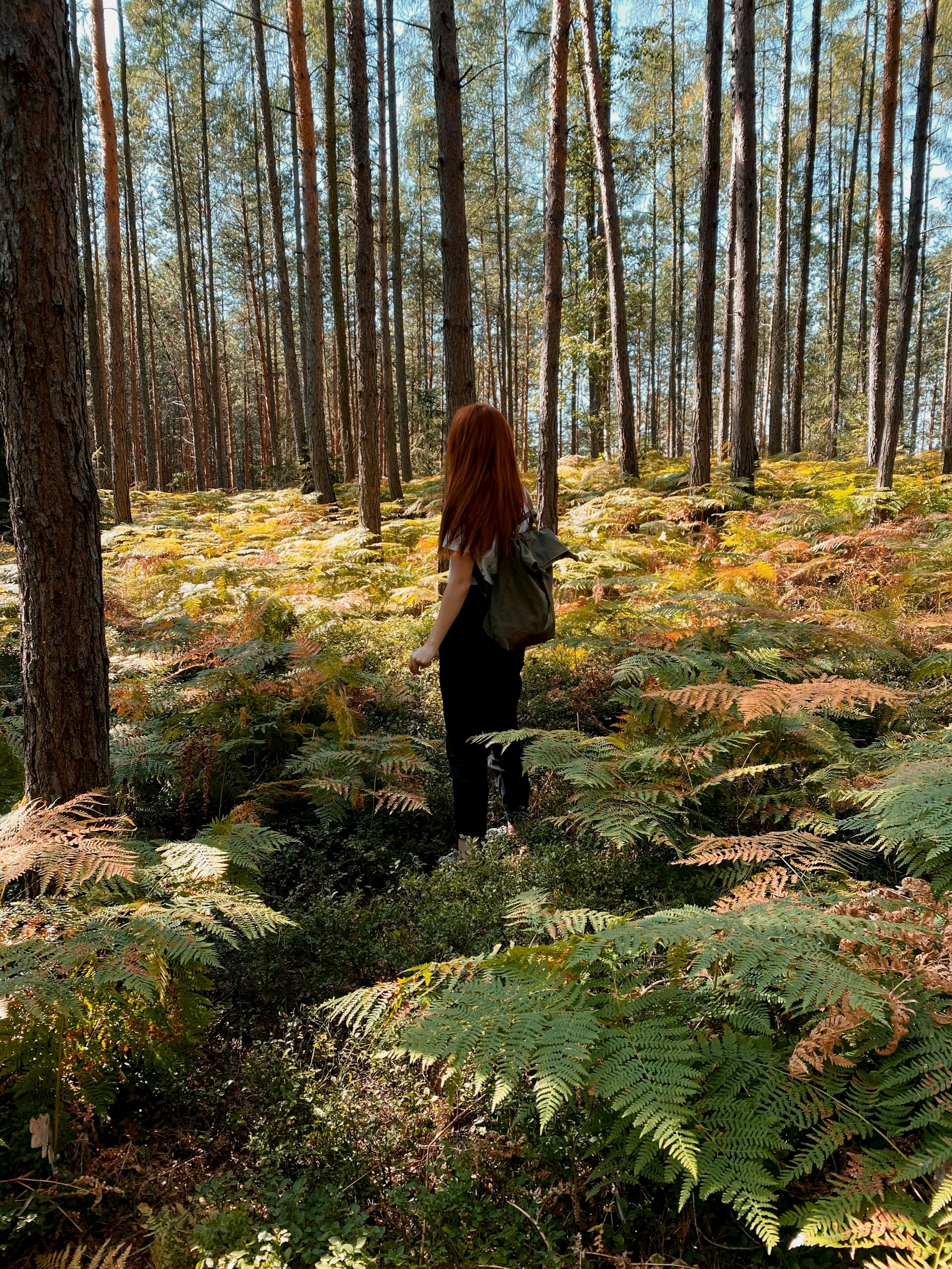 Redheaded woman explores the vibrant autumn forest in Klokočí, Czechia.