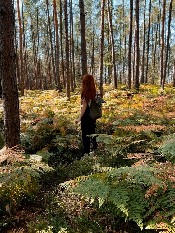 A Woman Standing on the Forest · Free Stock Photo