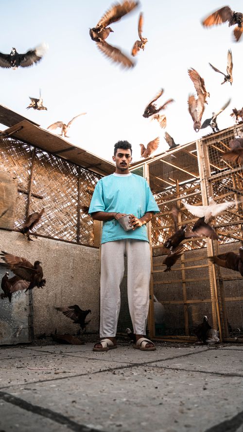 Free Young man with birds flying around in an urban setting, showcasing dynamic motion and lifestyle. Stock Photo