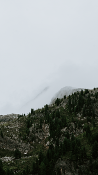 Misty mountain view with lush greenery in Trentino-South Tyrol, Italy.